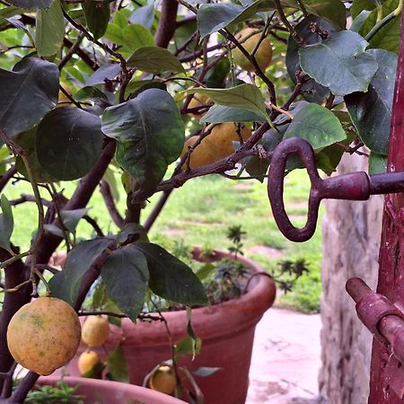 Agriturismo Campo Del Pillo Pietradura Kültér fotó