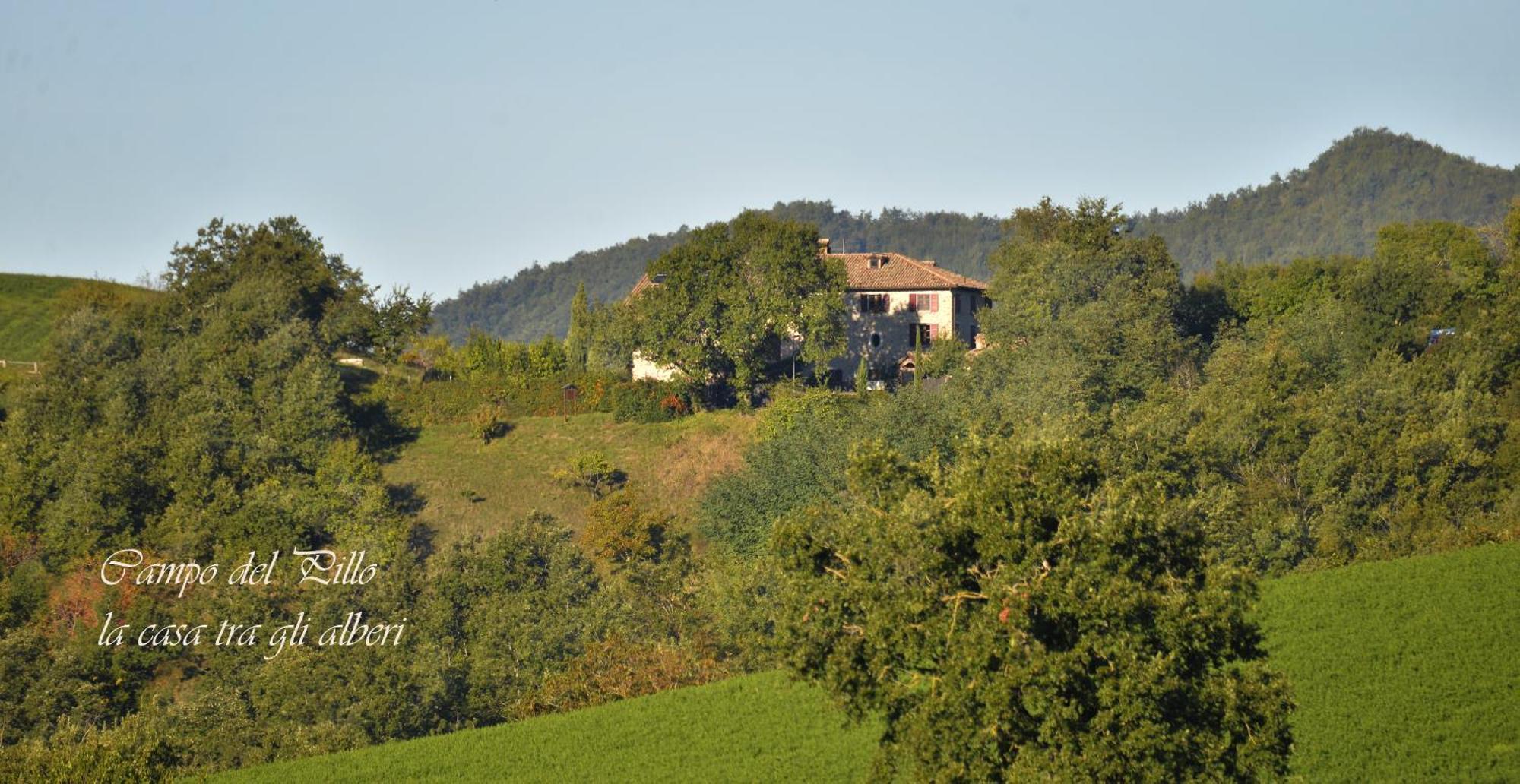 Agriturismo Campo Del Pillo Pietradura Kültér fotó