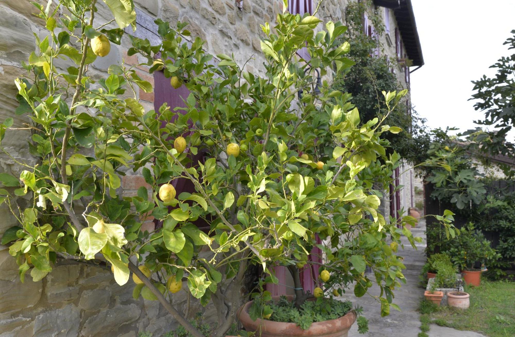 Agriturismo Campo Del Pillo Pietradura Kültér fotó
