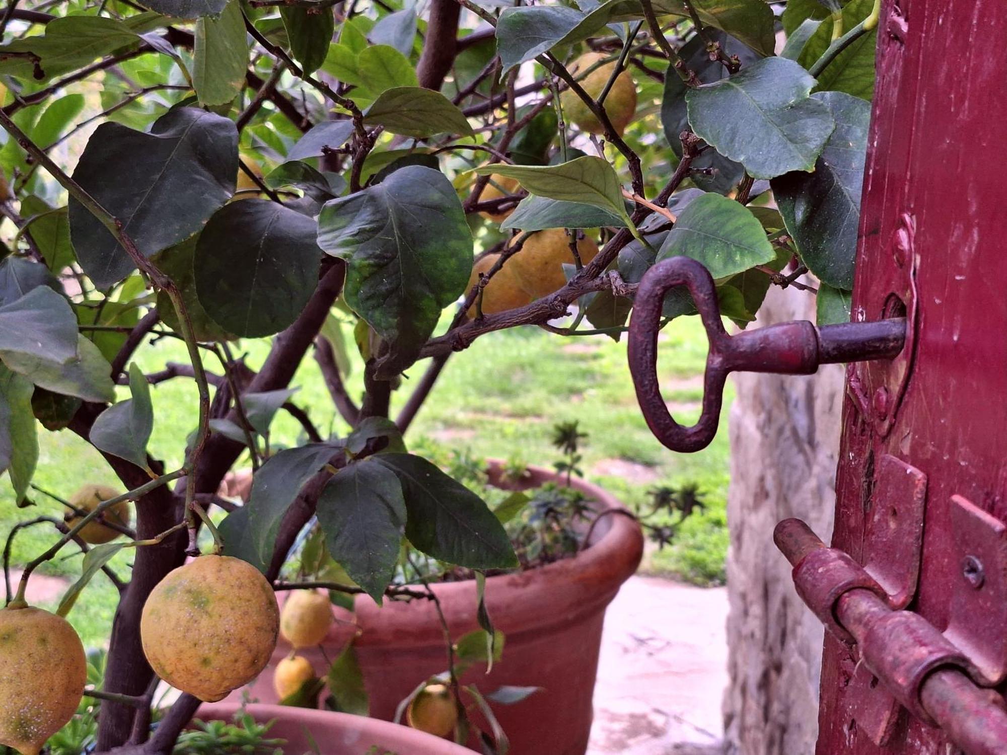 Agriturismo Campo Del Pillo Pietradura Kültér fotó