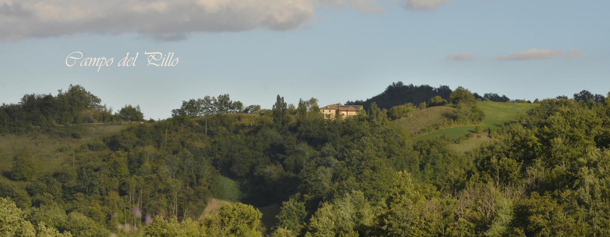Agriturismo Campo Del Pillo Pietradura Kültér fotó