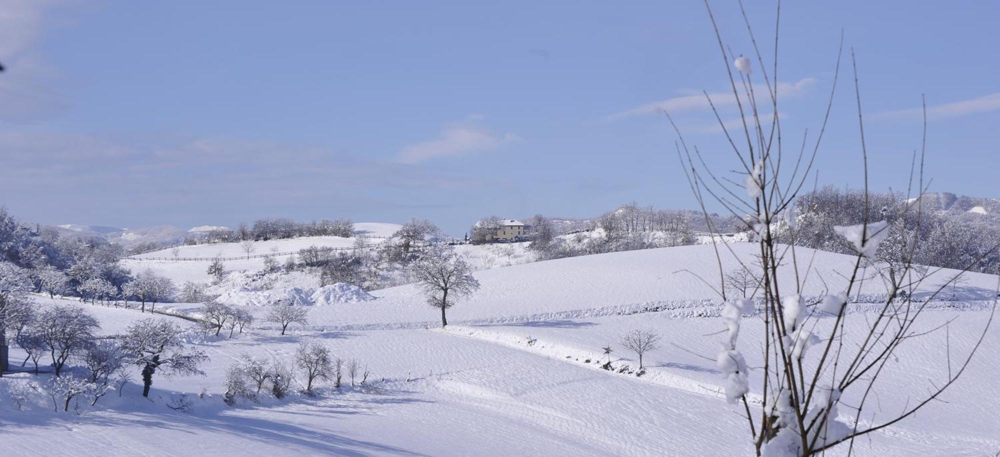 Agriturismo Campo Del Pillo Pietradura Kültér fotó