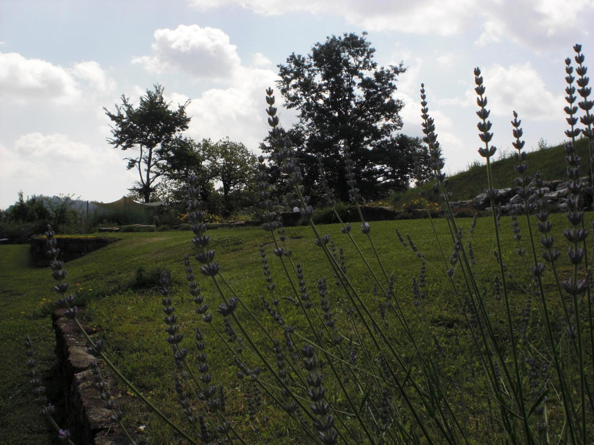 Agriturismo Campo Del Pillo Pietradura Kültér fotó